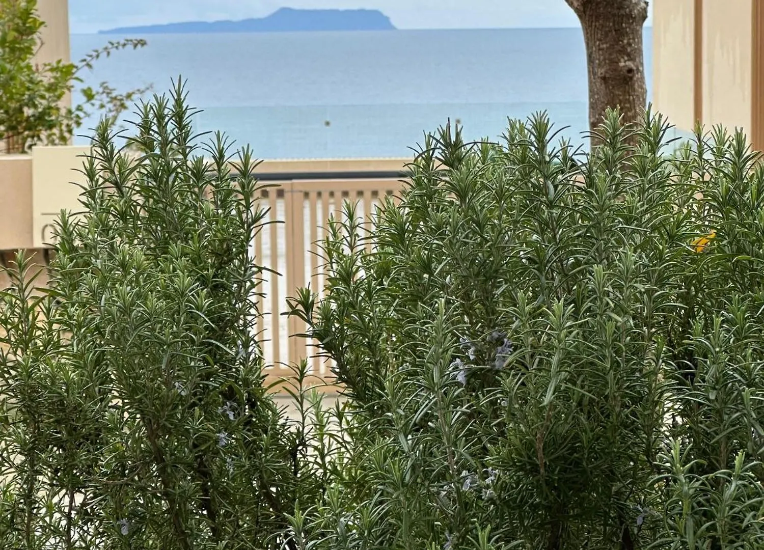 Villa Elodie, Green Coast, Palase